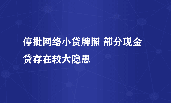 停批网络小贷牌照 部分现金贷存在较大隐患