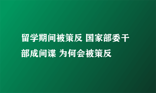 留学期间被策反 国家部委干部成间谍 为何会被策反