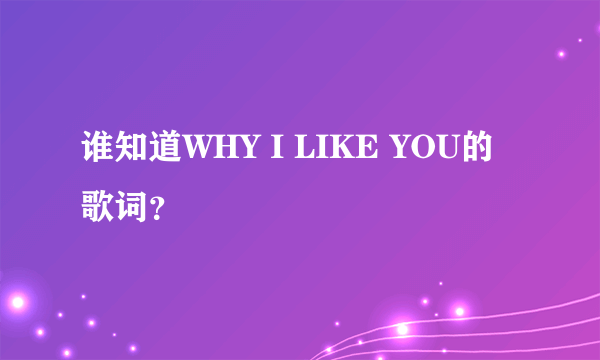 谁知道WHY I LIKE YOU的歌词？