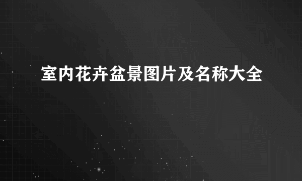 室内花卉盆景图片及名称大全