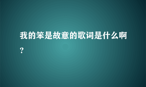 我的笨是故意的歌词是什么啊？