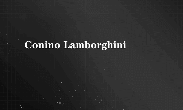 Conino Lamborghini