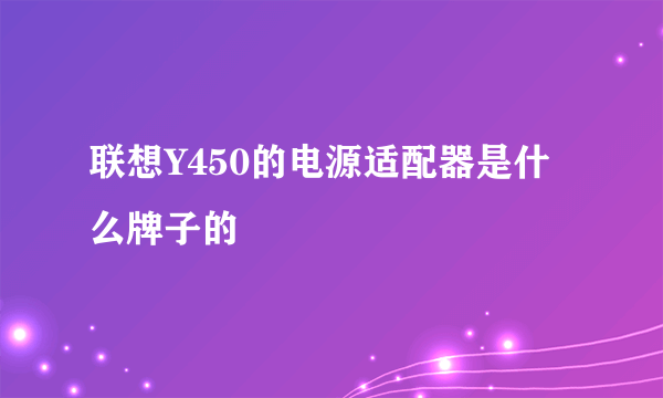 联想Y450的电源适配器是什么牌子的