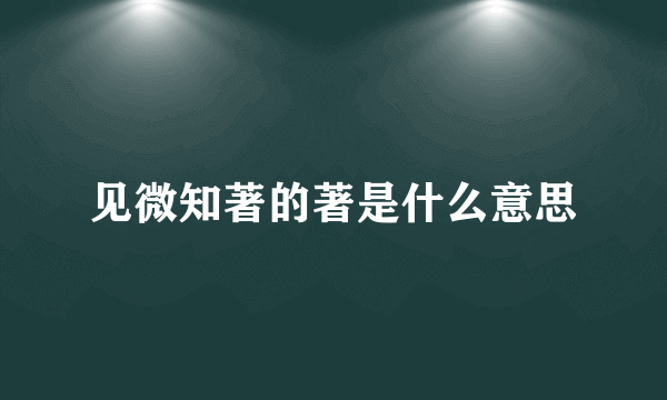 见微知著的著是什么意思