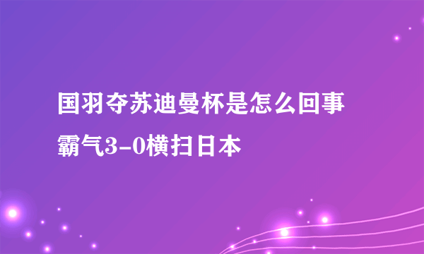 国羽夺苏迪曼杯是怎么回事 霸气3-0横扫日本