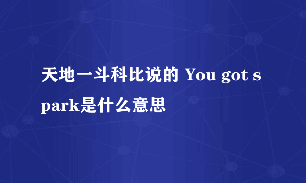 天地一斗科比说的 You got spark是什么意思