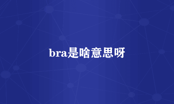 bra是啥意思呀