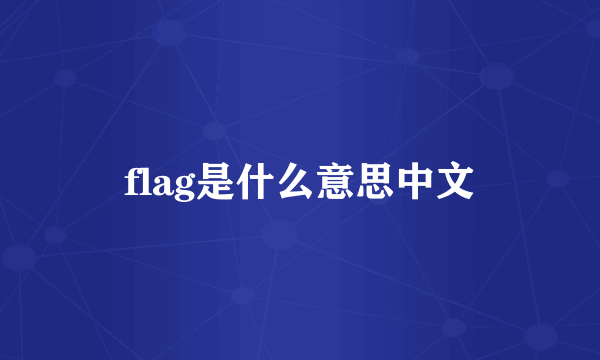 flag是什么意思中文