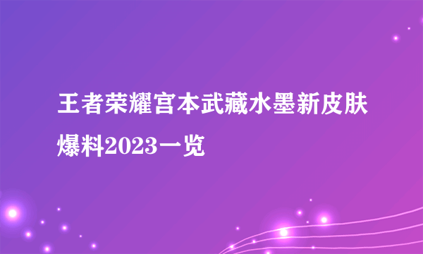 王者荣耀宫本武藏水墨新皮肤爆料2023一览