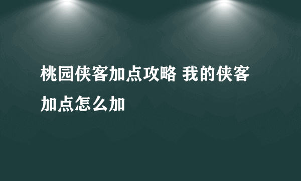 桃园侠客加点攻略 我的侠客加点怎么加