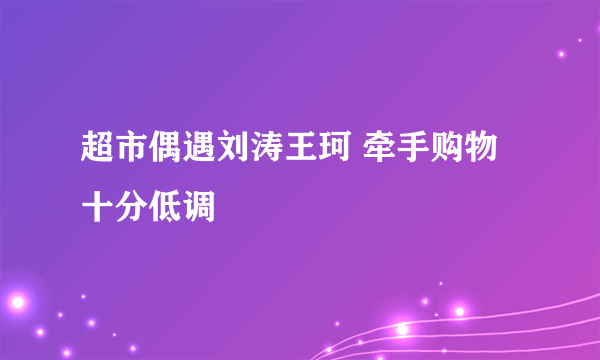 超市偶遇刘涛王珂 牵手购物十分低调