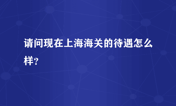 请问现在上海海关的待遇怎么样？