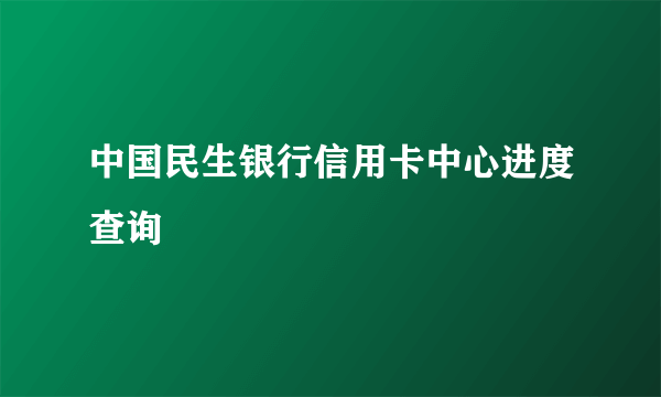 中国民生银行信用卡中心进度查询