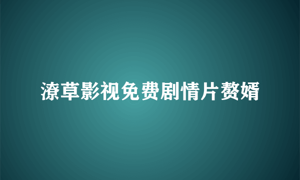 潦草影视免费剧情片赘婿