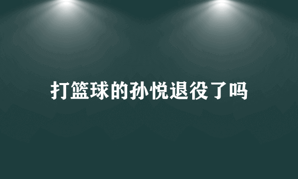 打篮球的孙悦退役了吗