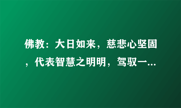 佛教：大日如来，慈悲心坚固，代表智慧之明明，驾驭一切现象者