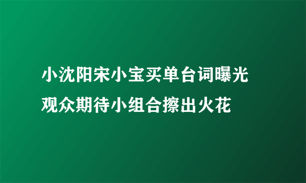 小沈阳宋小宝买单台词曝光 观众期待小组合擦出火花