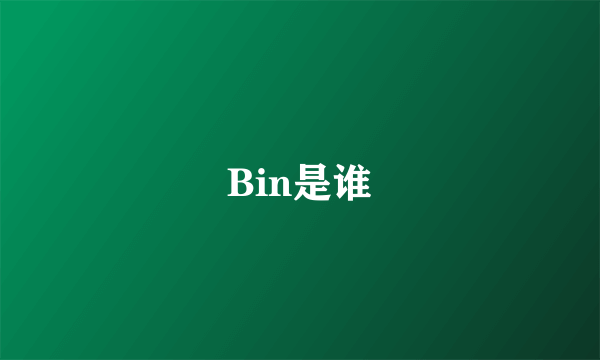 Bin是谁