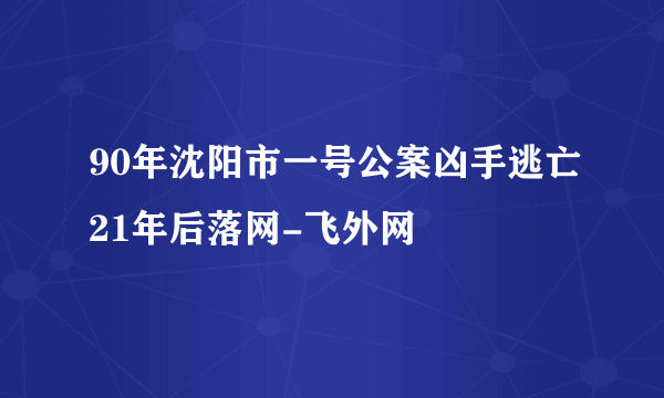 90年沈阳市一号公案凶手逃亡21年后落网-飞外网