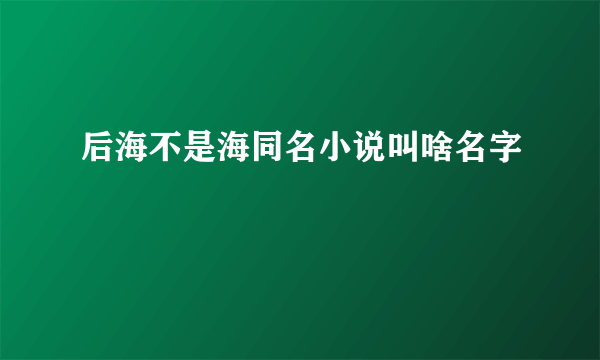 后海不是海同名小说叫啥名字