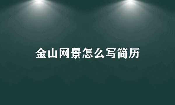 金山网景怎么写简历