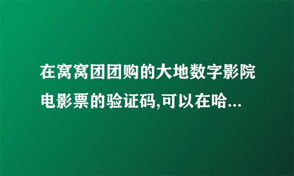 在窝窝团团购的大地数字影院电影票的验证码,可以在哈票网里当优惠劵用?