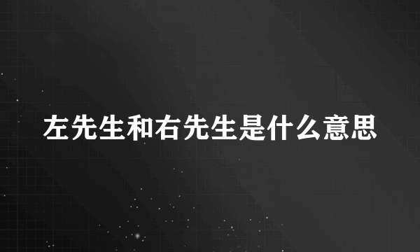 左先生和右先生是什么意思