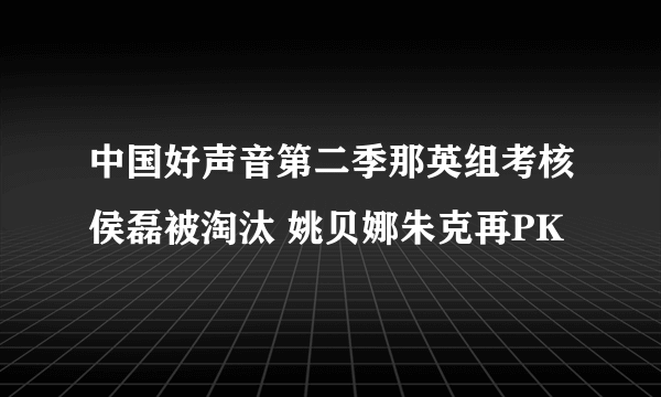 中国好声音第二季那英组考核侯磊被淘汰 姚贝娜朱克再PK