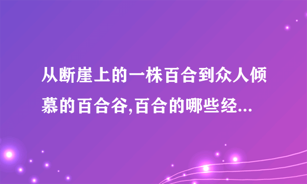 从断崖上的一株百合到众人倾慕的百合谷,百合的哪些经历深深触动了你或给了你启示谈一