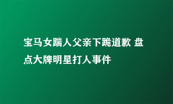 宝马女踹人父亲下跪道歉 盘点大牌明星打人事件