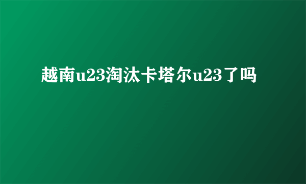 越南u23淘汰卡塔尔u23了吗