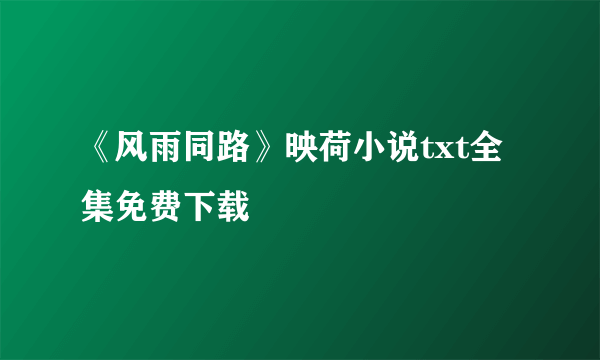 《风雨同路》映荷小说txt全集免费下载