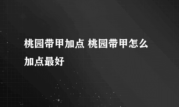 桃园带甲加点 桃园带甲怎么加点最好