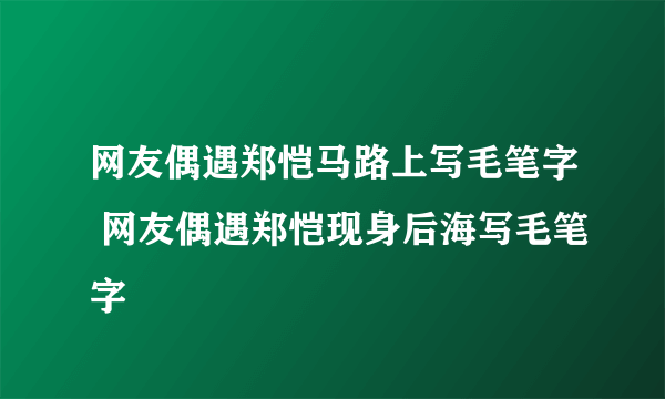 网友偶遇郑恺马路上写毛笔字 网友偶遇郑恺现身后海写毛笔字