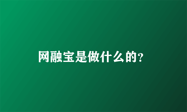 网融宝是做什么的？