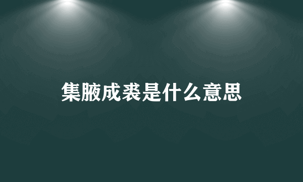 集腋成裘是什么意思