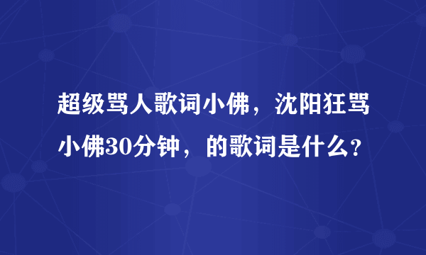 超级骂人歌词小佛，沈阳狂骂小佛30分钟，的歌词是什么？