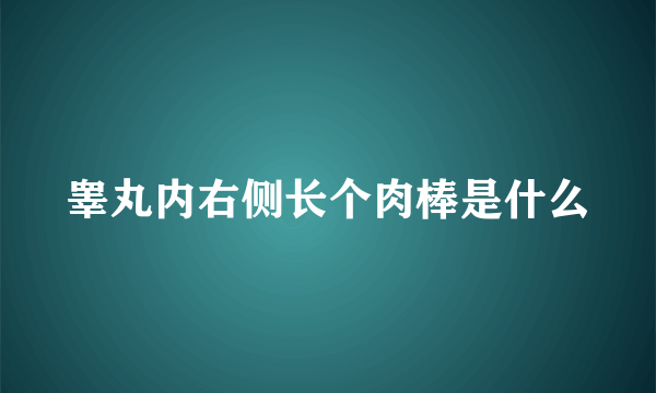 睾丸内右侧长个肉棒是什么