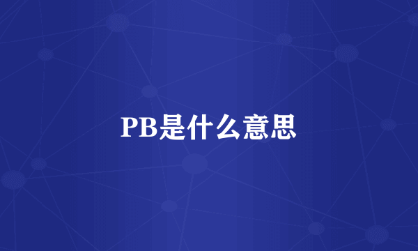 PB是什么意思