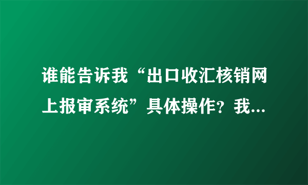 谁能告诉我“出口收汇核销网上报审系统”具体操作？我是新手，请大家帮帮忙？