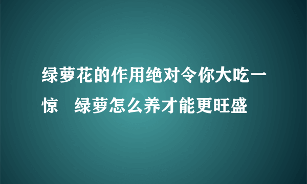 绿萝花的作用绝对令你大吃一惊   绿萝怎么养才能更旺盛