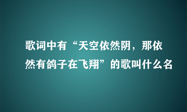 歌词中有“天空依然阴，那依然有鸽子在飞翔”的歌叫什么名