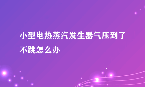 小型电热蒸汽发生器气压到了不跳怎么办