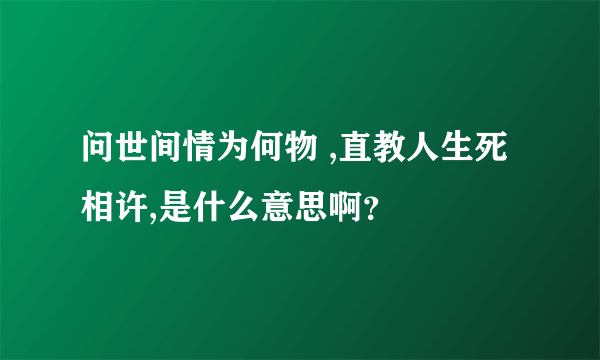 问世间情为何物 ,直教人生死相许,是什么意思啊？