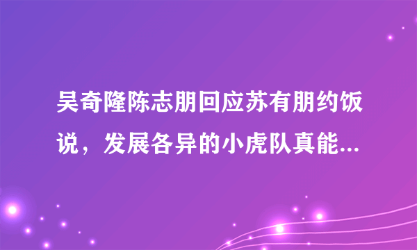 吴奇隆陈志朋回应苏有朋约饭说，发展各异的小虎队真能聚起来吗？