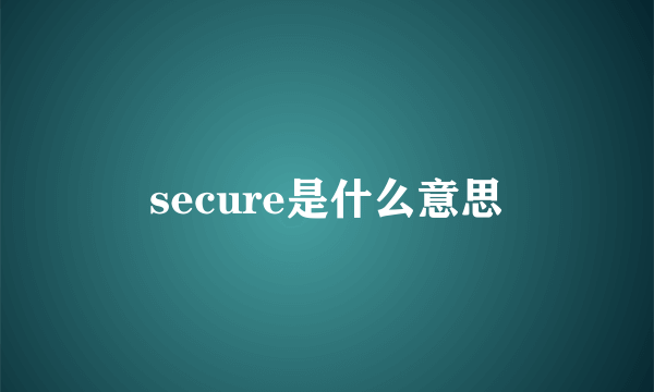 secure是什么意思