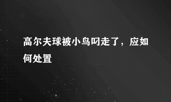 高尔夫球被小鸟叼走了，应如何处置