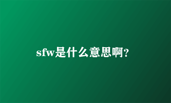 sfw是什么意思啊？