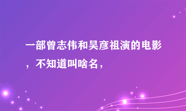 一部曾志伟和吴彦祖演的电影，不知道叫啥名，