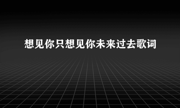 想见你只想见你未来过去歌词